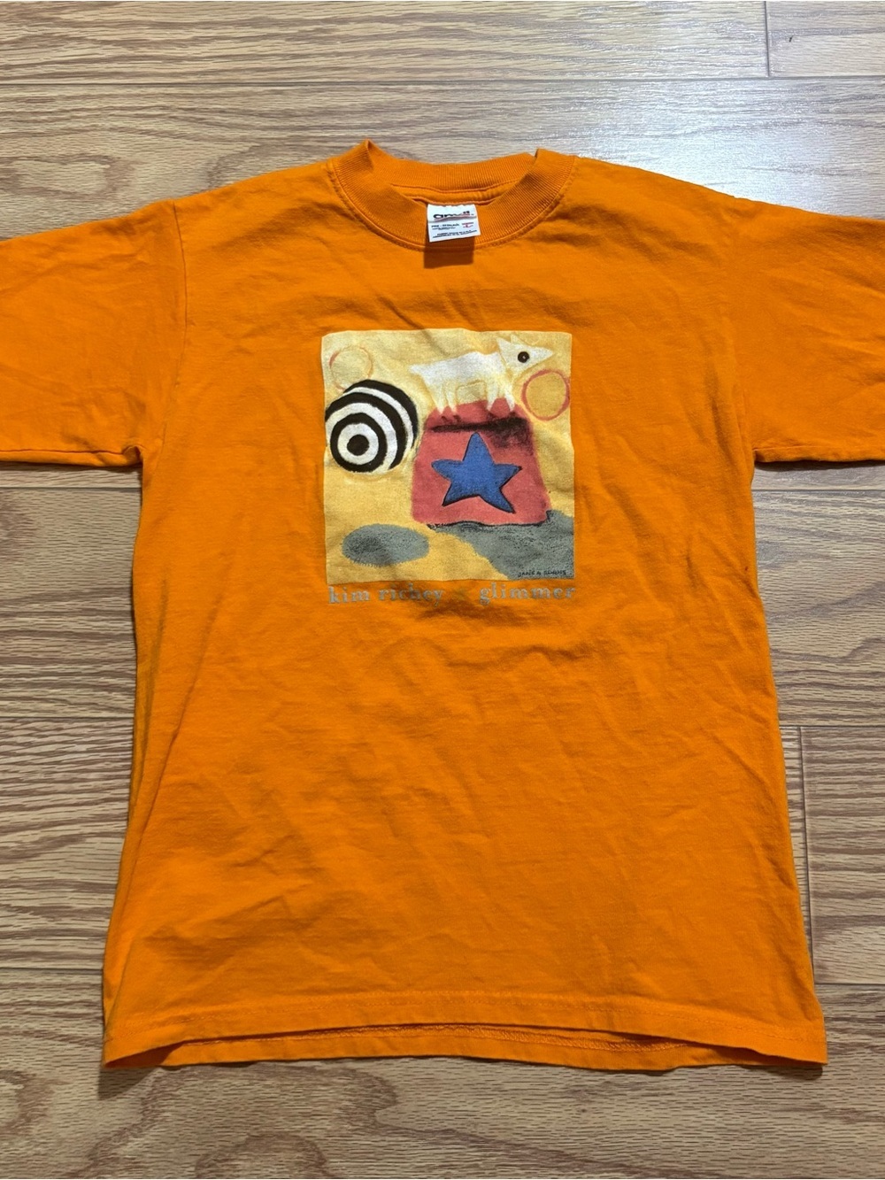 Y2K 2000s Kim Richey Glimmer Music Album T-Shirt Anvil Youth Large Whimsigoth